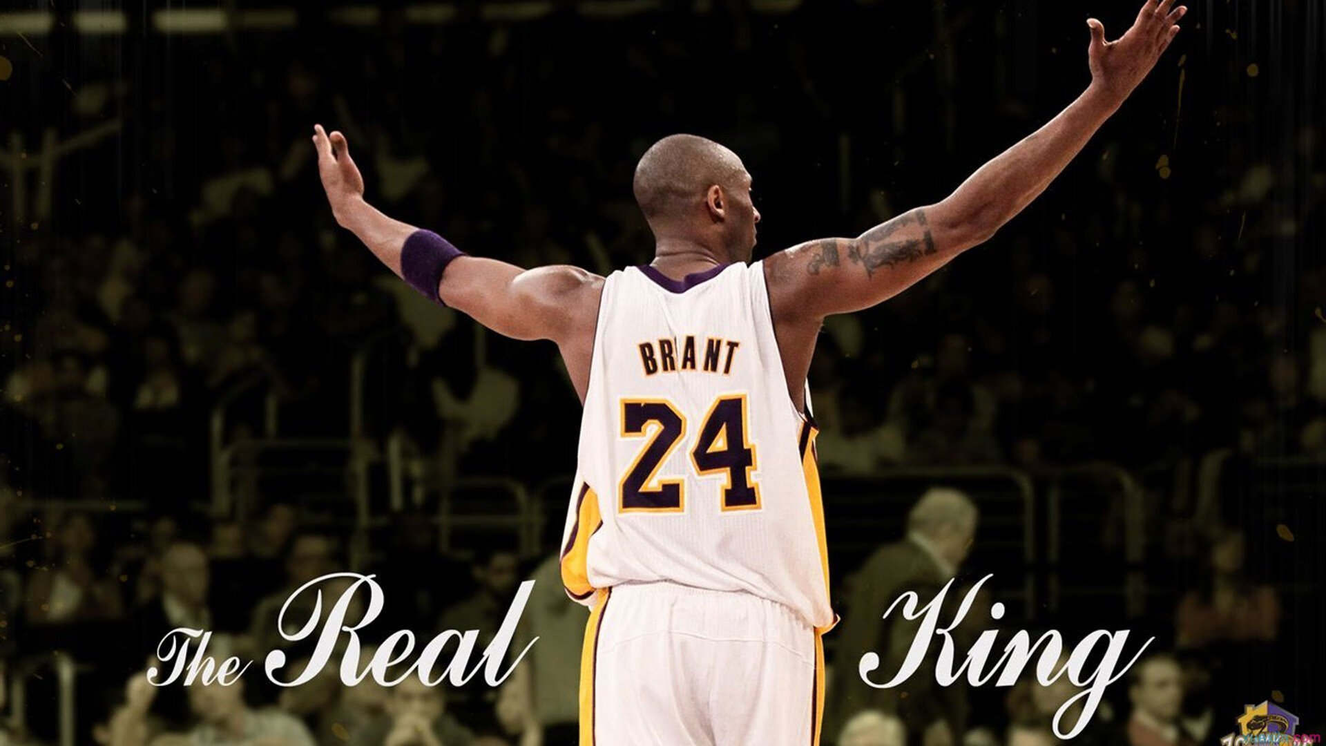 青少年足球教育是否被社会重视，国家对青少年足球训练的重视